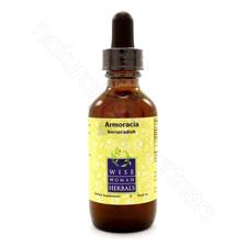 Armoracia rusticana - horseradish 2oz Wise Woman Herbals