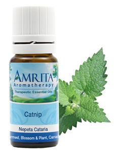 Catnip Organic 10 ml Amrita Aromatherapy