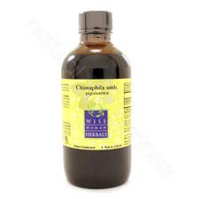 Chimaphila umbellata - pipsissewa 4oz Wise Woman Herbals